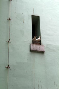 Abandoned house against wall