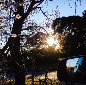 Car on road at sunset