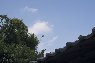 Low angle view of trees against sky