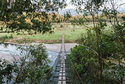 Footpath amidst trees on landscape