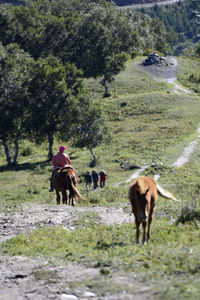 Woman with cows walking on field