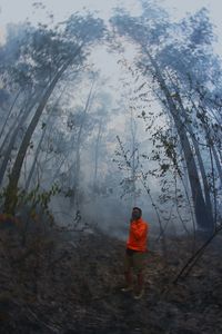 Full length of man standing at smoky forest