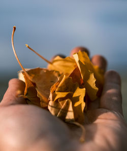 Close-up of hand holding autumn leaves