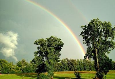 Scenic view of rainbow over trees on field against sky