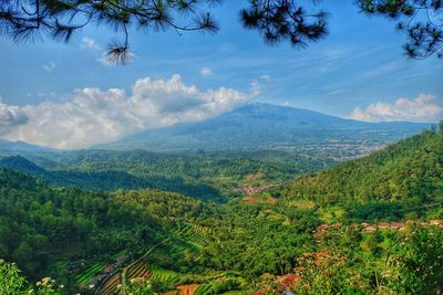 Scenic view of landscape against sky