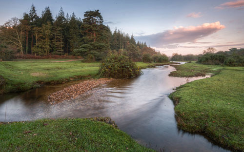 Scenic view of river stream amidst trees against sky