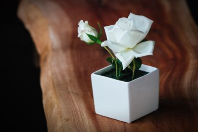 Close-up of flower vase on table