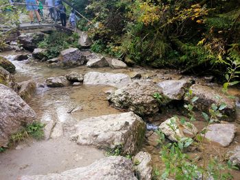 High angle view of stream flowing through rocks in forest