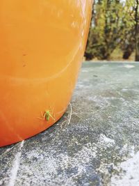 Close-up of drink on floor