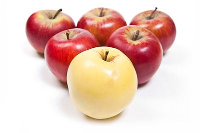Close-up of apples on apple