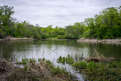 Scenic view of lake against sky