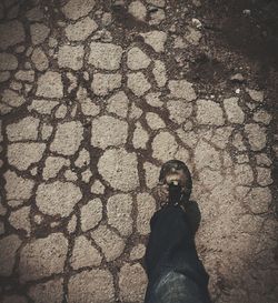 Low section of person standing on road