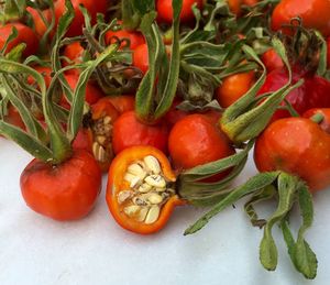 Close-up of vegetables