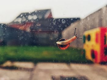 Close-up of wet car window during rainy season