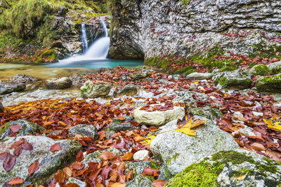 Scenic view of waterfall amidst rocks