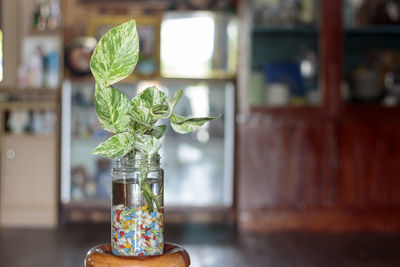 Close-up of glass vase on table
