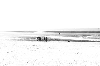 Scenic view of beach