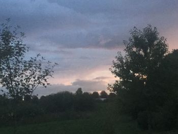 Trees on field against sky at sunset