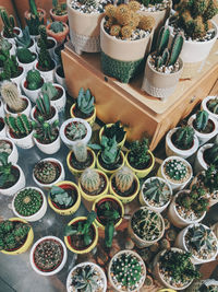 High angle view of potted plants for sale at market