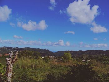 Scenic view of landscape against cloudy sky