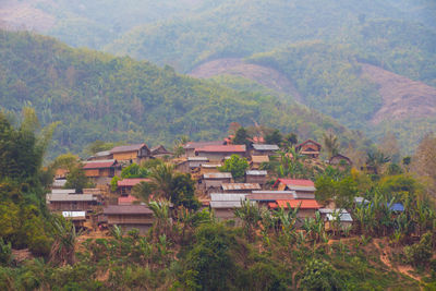 Houses by trees and mountains