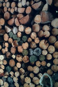 Full frame shot of logs