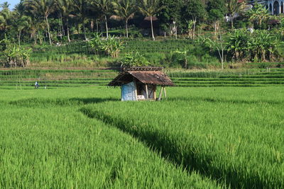 Barn on field against trees