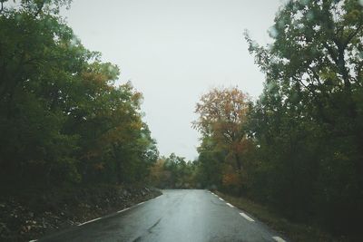 Road passing through forest