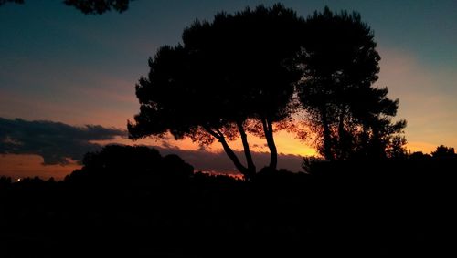 Silhouette trees against sky during sunset