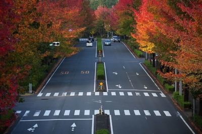 Road amidst trees during autumn