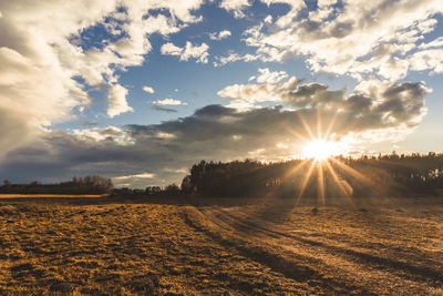 Scenic view of field against sky at sunset