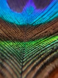 Full frame shot of multi colored pattern