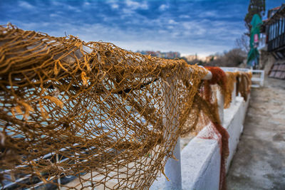 Close-up of fishing net in basket
