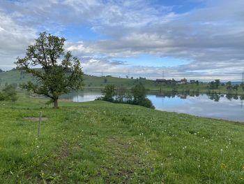 Scenic view of grassy field by lake against sky