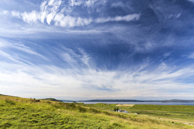 Cows grazing on field against sky