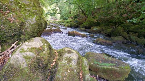 High angle view of water flowing in park