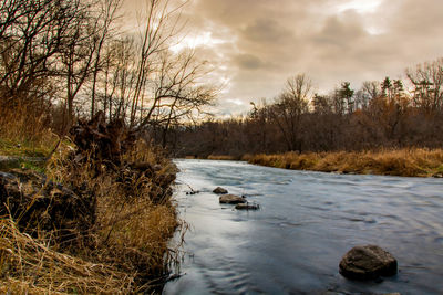 Dog on riverbank against sky during sunset