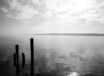 Wooden posts in sea against sky