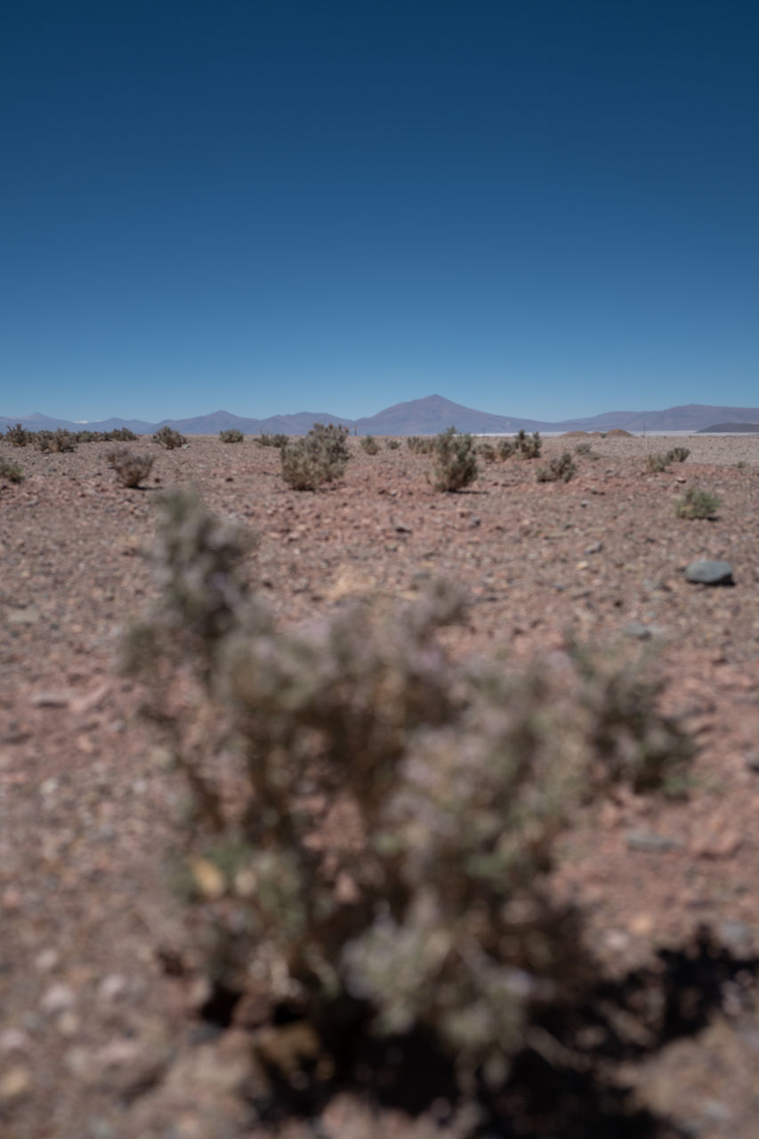 SCENIC VIEW OF LAND AGAINST CLEAR SKY