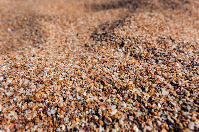 Full frame shot of pebbles on field