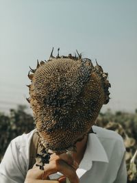 Midsection of man holding dry sunflower against sky