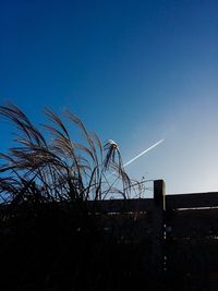 Low angle view of vapor trail against clear blue sky