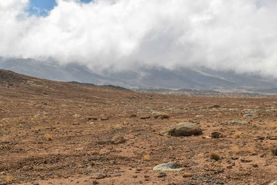 Highland desert at mount kilimanjaro, tanzania