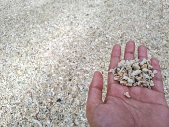 Close-up of hand on sand