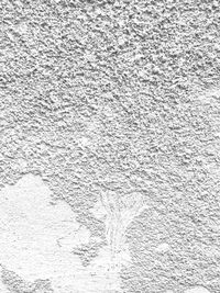 Full frame shot of wall