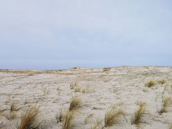 Low angle view of desert against sky