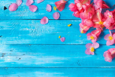 Flower petals on blue table