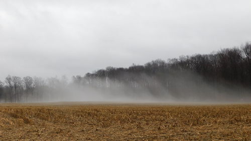 Scenic view of field against sky during foggy weather