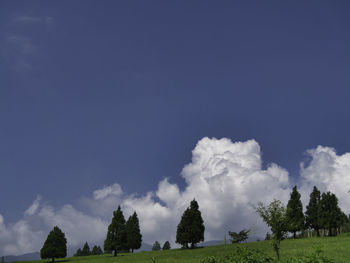 Panoramic view of trees on field against sky