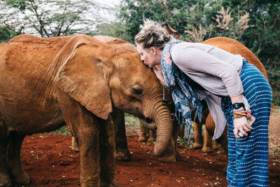 Side view of woman kissing baby elephant